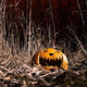 Image for article titled Wacky weather patterns threaten our pumpkin supply